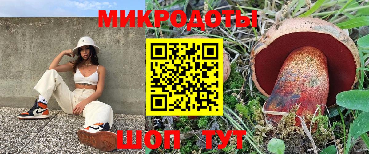 Галлюциногенные грибы GOLDEN TEACHER  Вход с VPN  Сосновоборск 