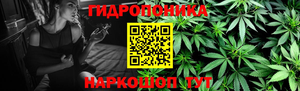 Сосновоборск  Канабис планчик  Шишки марихуана OG Kush  Вход с VPN 